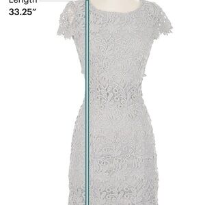 Elegant Lulus Lace Dress in Grey Sz XS